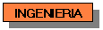 Ingenier�a